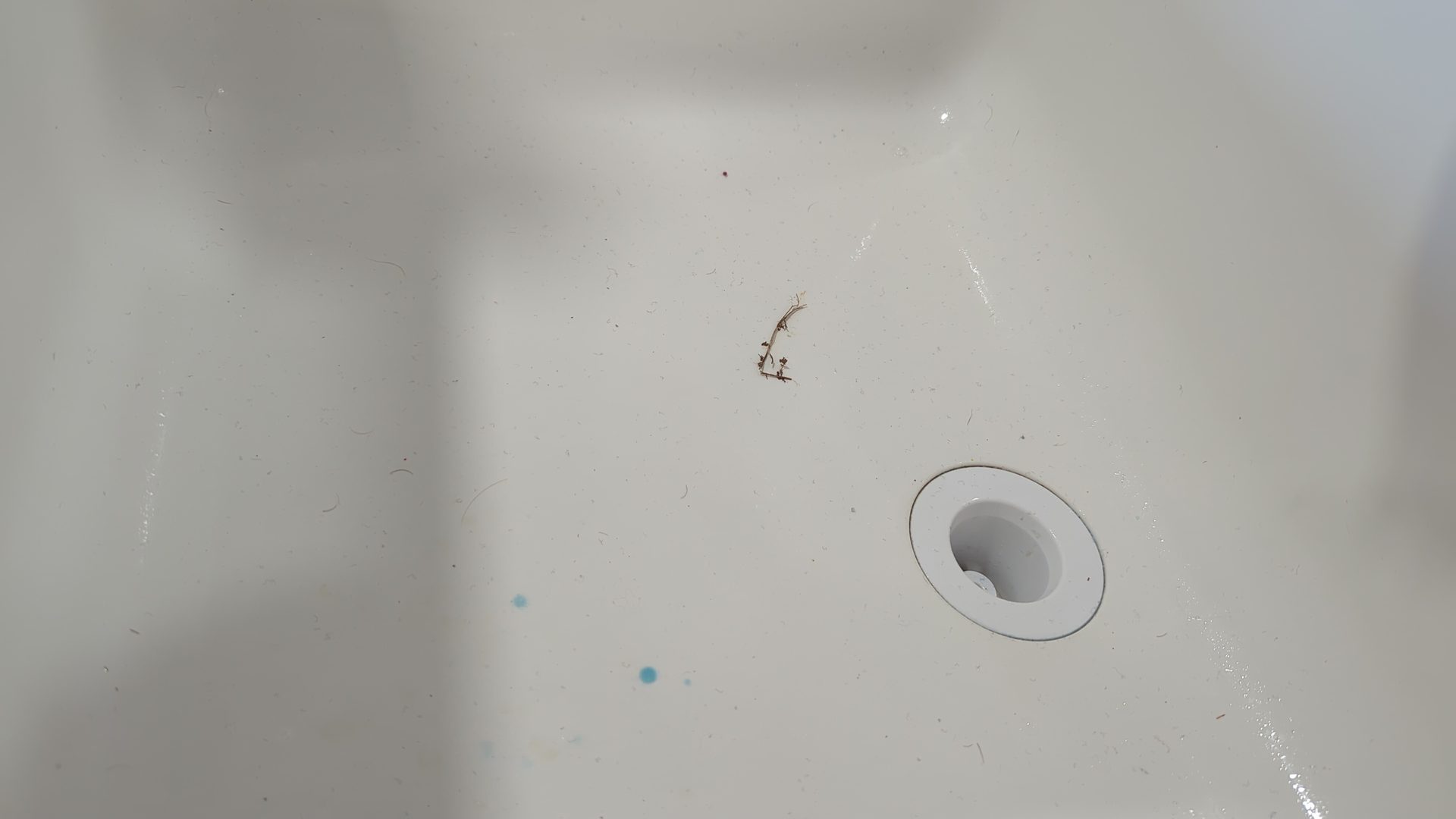 Before cleaning: Area 2 Transformation Series 2